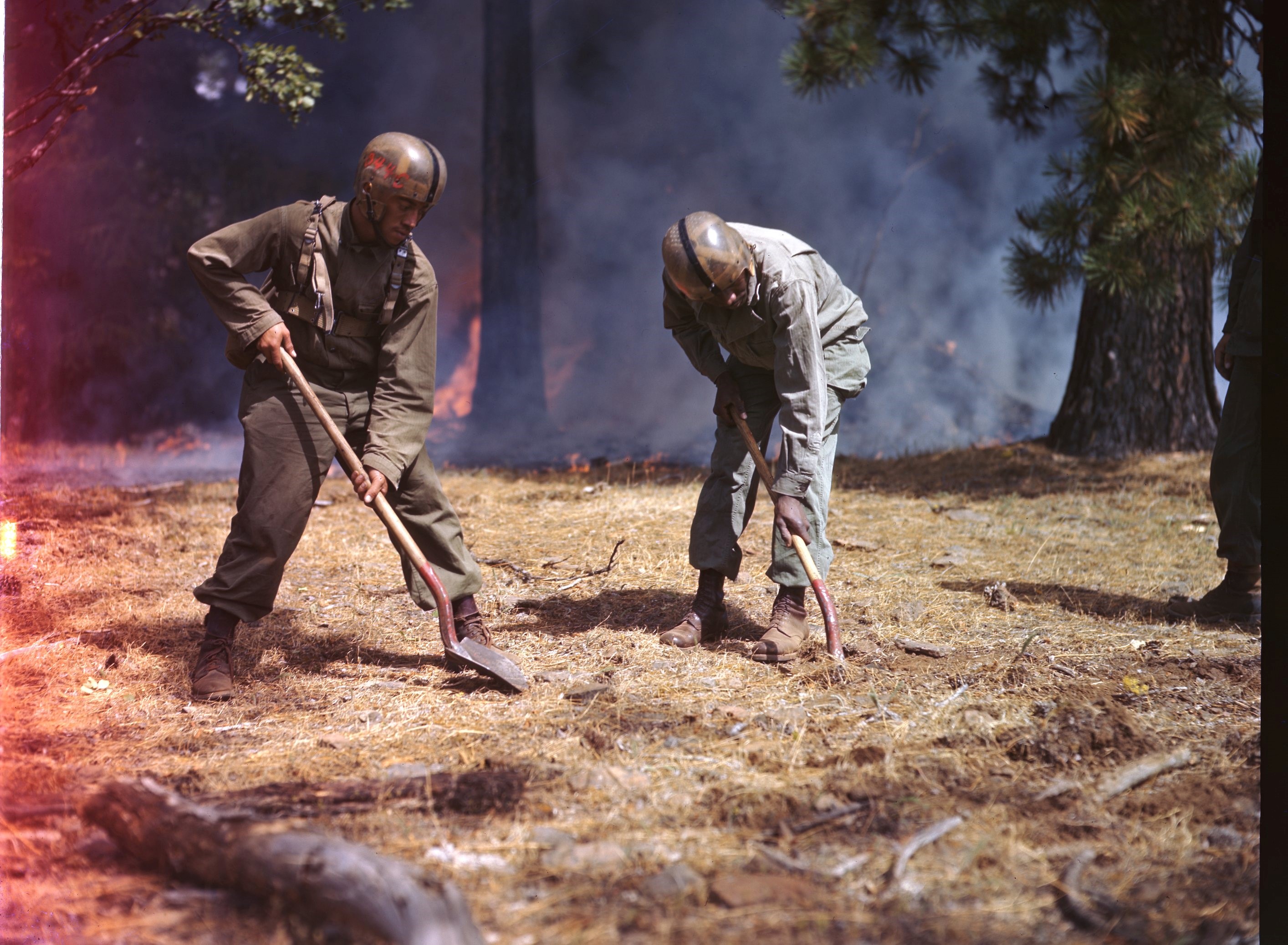 555th Parachute Infantry doing suppression efforts on a forest fire in Umatilla National Forest, Oregon