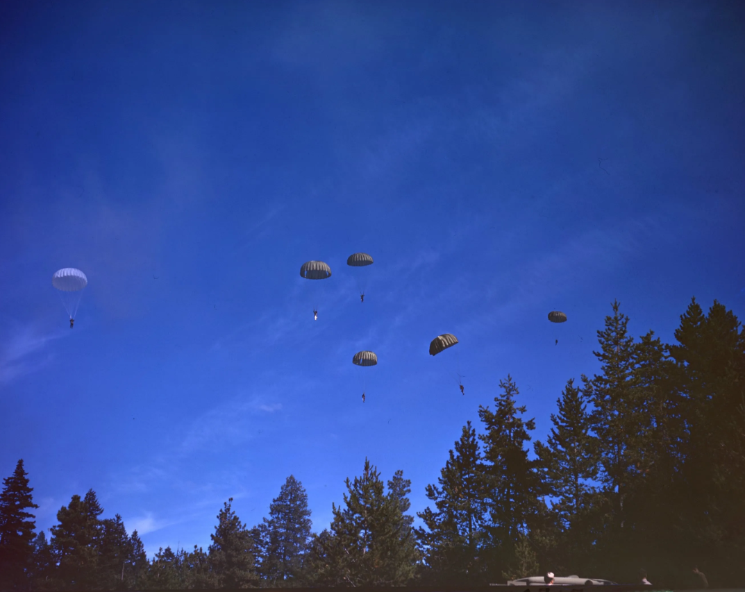 555th Parachute Infantry descend near a forest fire in Umatilla National Forest, Oregon.